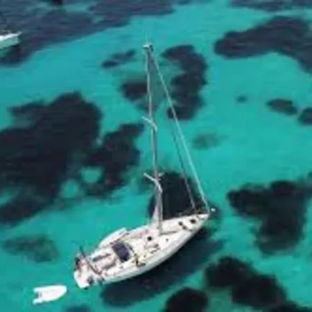 Mon Amour ! Barca A Vela *